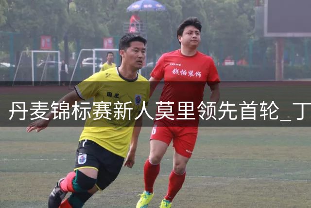丹麦锦标赛新人莫里领先首轮 丁文一T4周彦含T17
