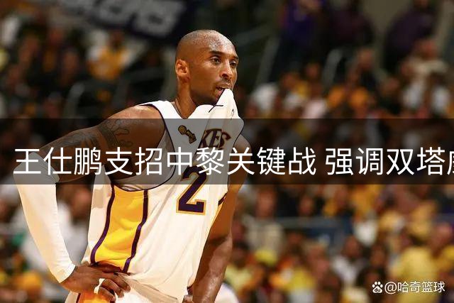 王仕鹏支招中黎关键战 强调双塔威力与控误重要性