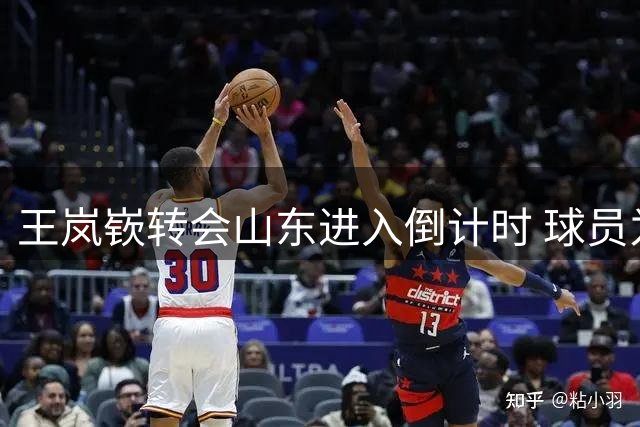 王岚嵚转会山东进入倒计时 球员为返乡效力主动降薪