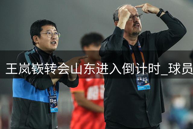 王岚嵚转会山东进入倒计时 球员为返乡效力主动降薪